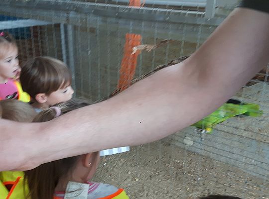 Gr II Wycieczka do Tuchlina