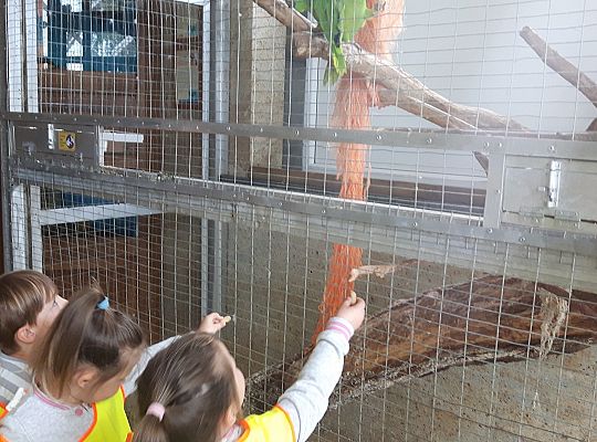 Gr II Wycieczka do Tuchlina