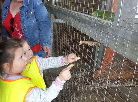 Gr II Wycieczka do Tuchlina