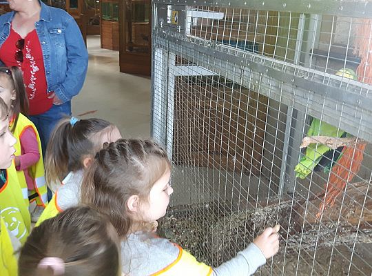 Gr II Wycieczka do Tuchlina