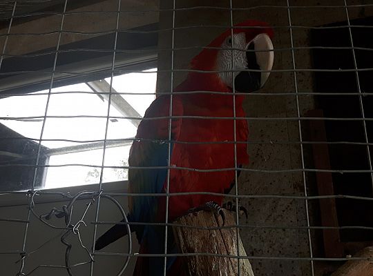 Gr II Wycieczka do Tuchlina