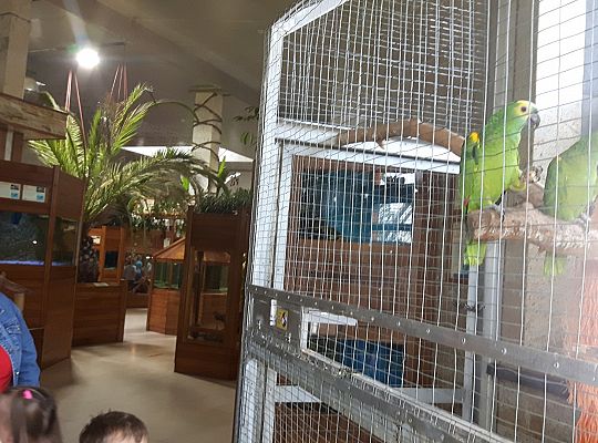 Gr II Wycieczka do Tuchlina