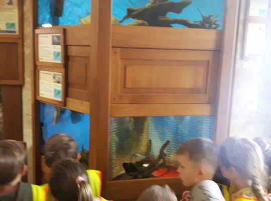 Gr II Wycieczka do Tuchlina