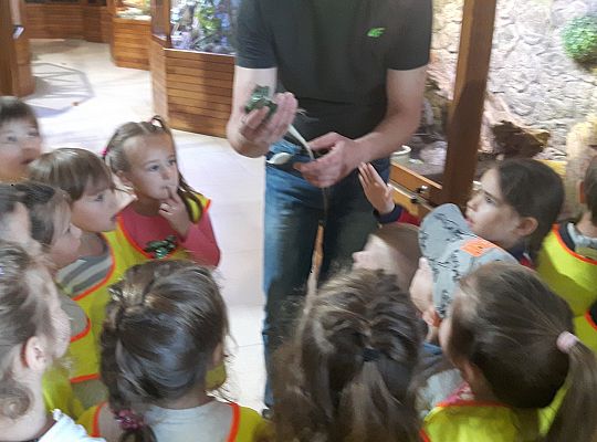 Gr II Wycieczka do Tuchlina