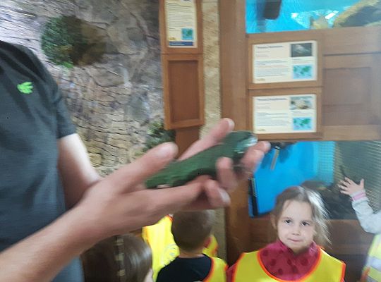 Gr II Wycieczka do Tuchlina