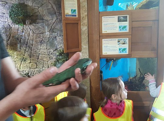 Gr II Wycieczka do Tuchlina