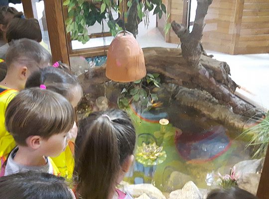 Gr II Wycieczka do Tuchlina