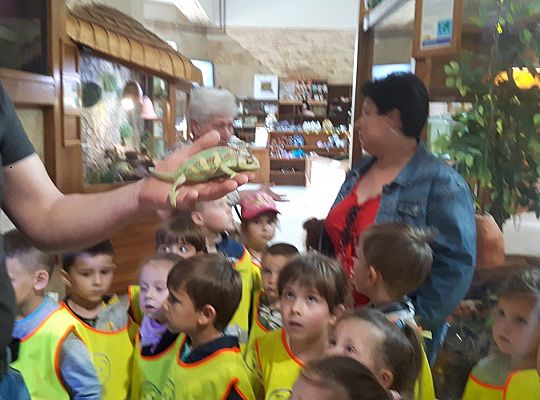 Gr II Wycieczka do Tuchlina