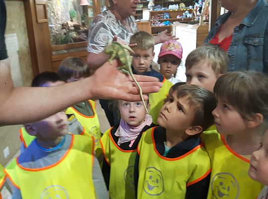 Gr II Wycieczka do Tuchlina