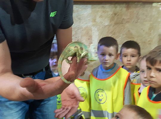 Gr II Wycieczka do Tuchlina