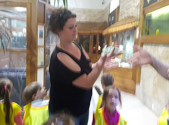 Gr II Wycieczka do Tuchlina