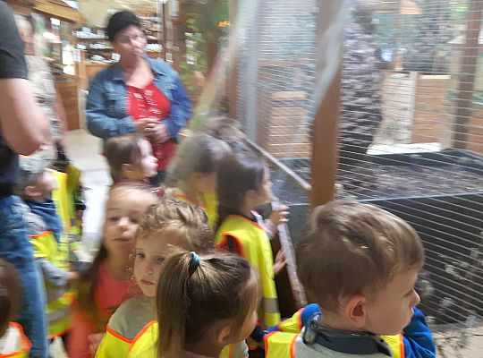 Gr II Wycieczka do Tuchlina