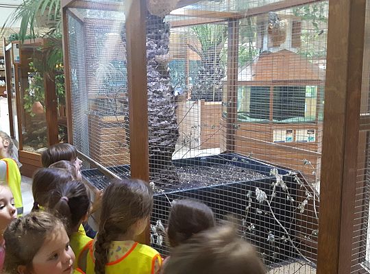 Gr II Wycieczka do Tuchlina