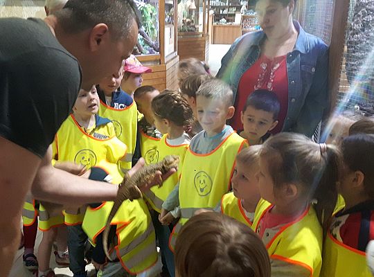 Gr II Wycieczka do Tuchlina