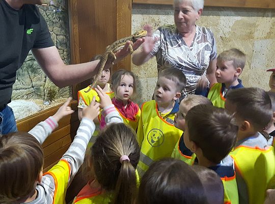 Gr II Wycieczka do Tuchlina