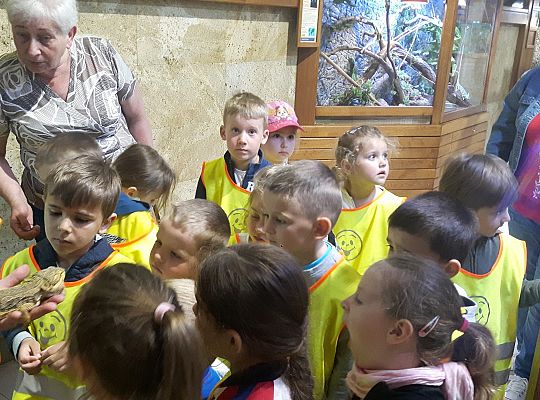 Gr II Wycieczka do Tuchlina