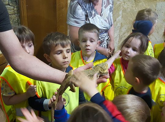 Gr II Wycieczka do Tuchlina