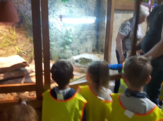 Gr II Wycieczka do Tuchlina