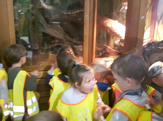 Gr II Wycieczka do Tuchlina