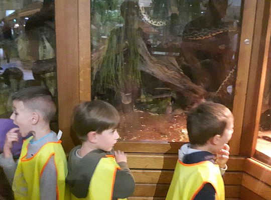 Gr II Wycieczka do Tuchlina