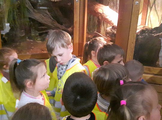 Gr II Wycieczka do Tuchlina