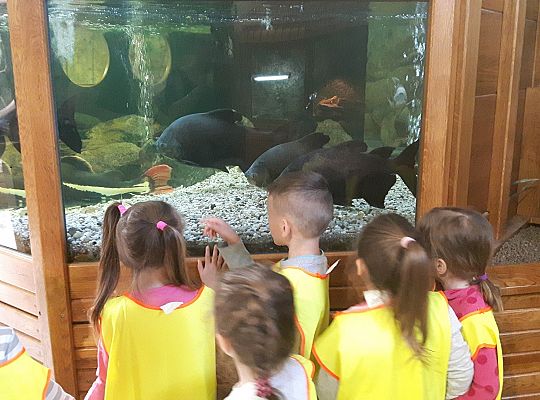 Gr II Wycieczka do Tuchlina