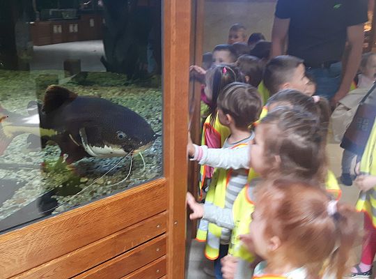 Gr II Wycieczka do Tuchlina