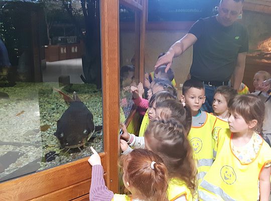 Gr II Wycieczka do Tuchlina