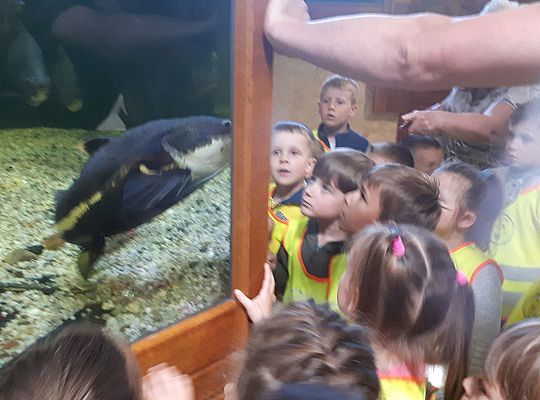 Gr II Wycieczka do Tuchlina