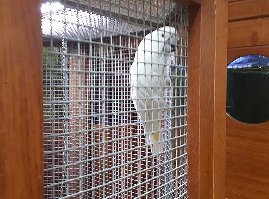 Gr II Wycieczka do Tuchlina