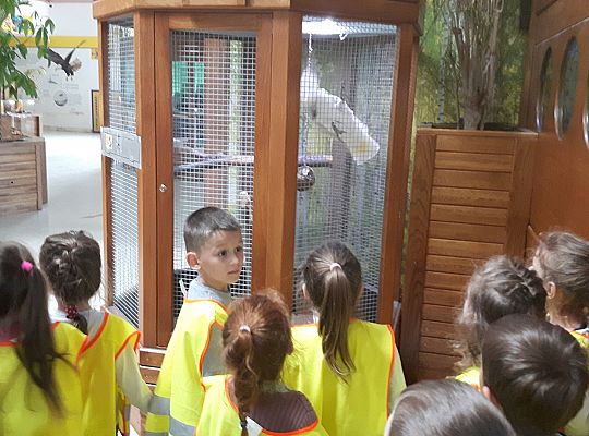 Gr II Wycieczka do Tuchlina