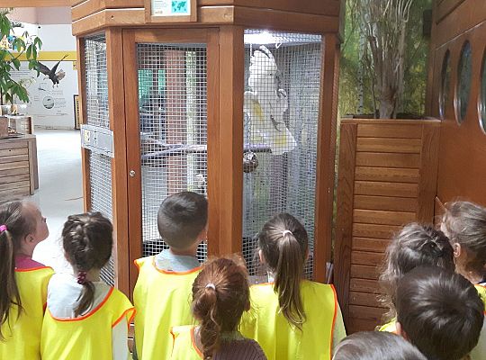 Gr II Wycieczka do Tuchlina