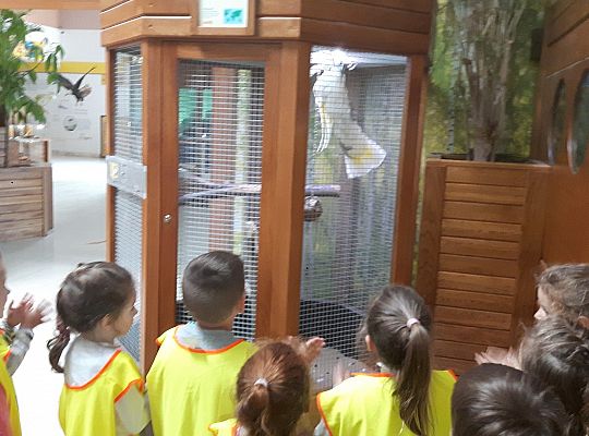 Gr II Wycieczka do Tuchlina