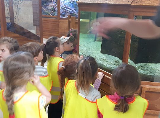 Gr II Wycieczka do Tuchlina