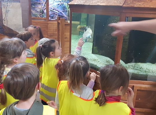 Gr II Wycieczka do Tuchlina