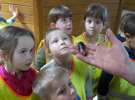 Gr II Wycieczka do Tuchlina