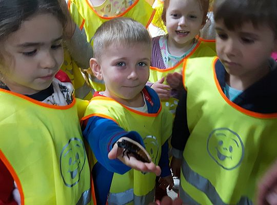 Gr II Wycieczka do Tuchlina