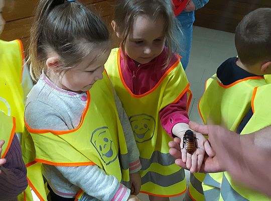 Gr II Wycieczka do Tuchlina