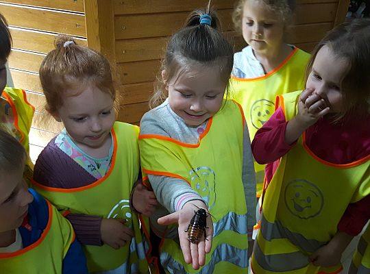 Gr II Wycieczka do Tuchlina