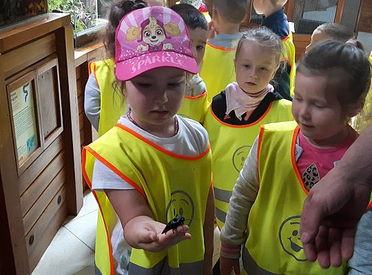 Gr II Wycieczka do Tuchlina