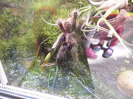 Gr II Wycieczka do Tuchlina