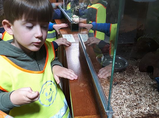 Gr II Wycieczka do Tuchlina