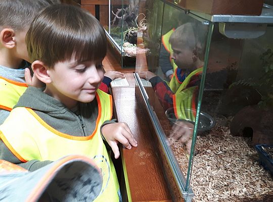 Gr II Wycieczka do Tuchlina