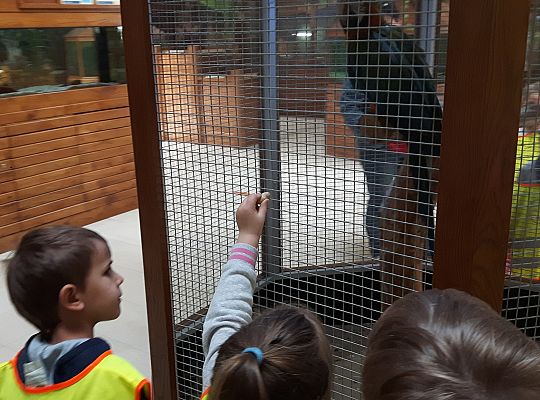 Gr II Wycieczka do Tuchlina