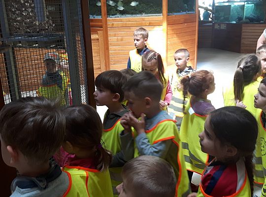 Gr II Wycieczka do Tuchlina