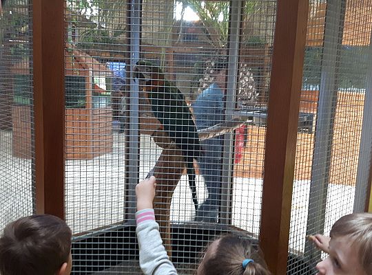 Gr II Wycieczka do Tuchlina