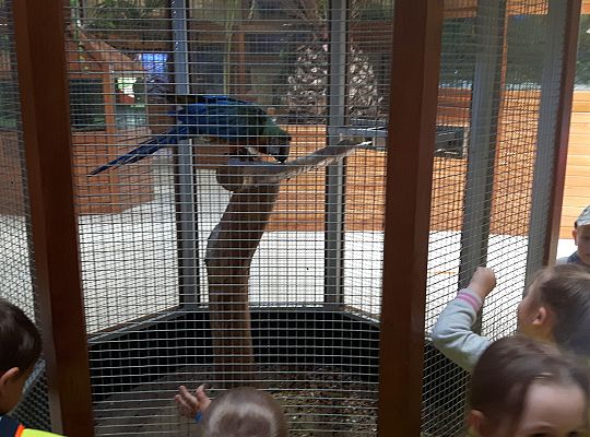 Gr II Wycieczka do Tuchlina