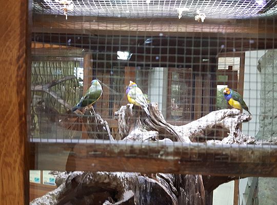 Gr II Wycieczka do Tuchlina