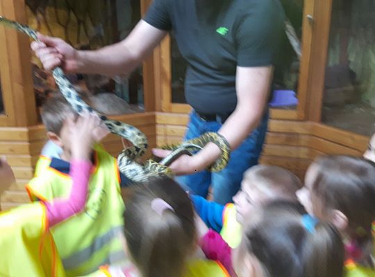 Gr II Wycieczka do Tuchlina