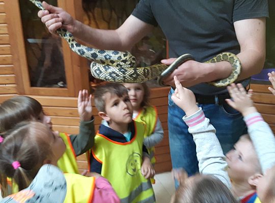 Gr II Wycieczka do Tuchlina